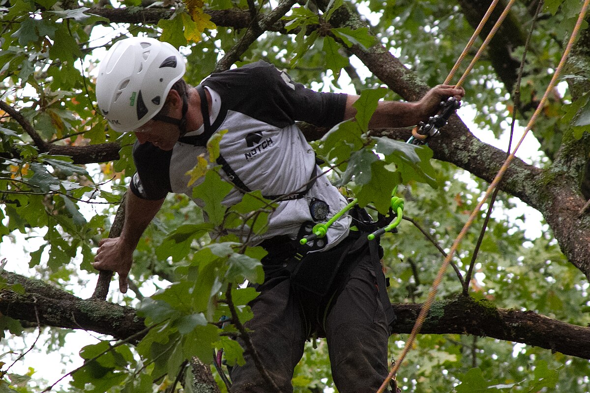 Kevin Bingham at base of tree