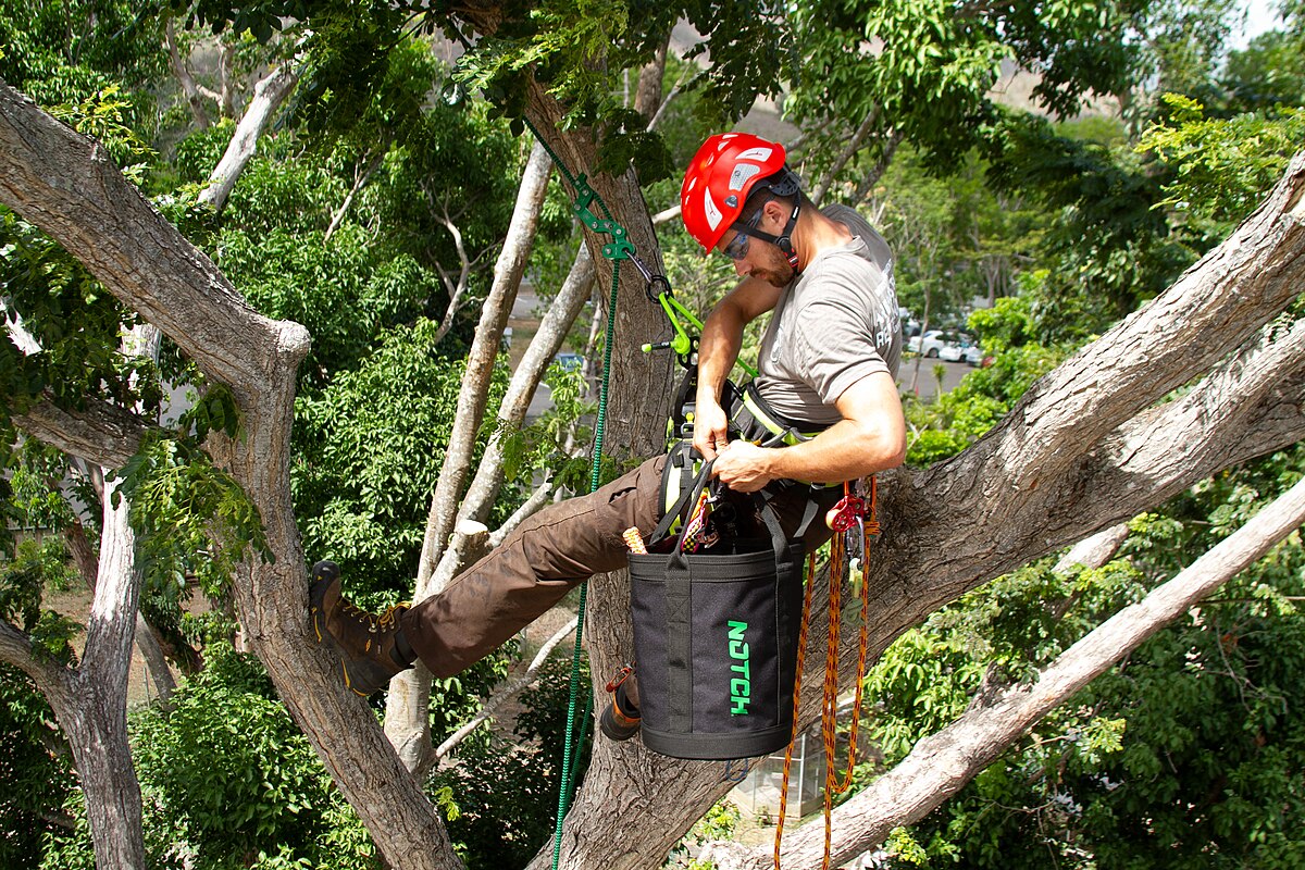 Arborist full kit ascending