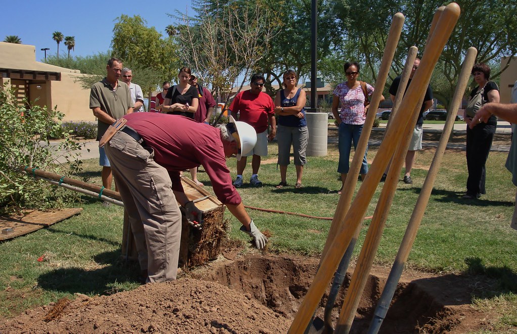 Richard Advins, Phoenix Urban Forester #1