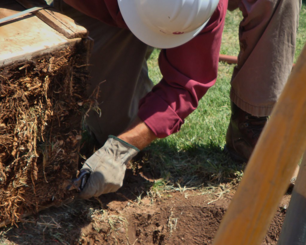 Richard Advins, Phoenix Urban Forester #2