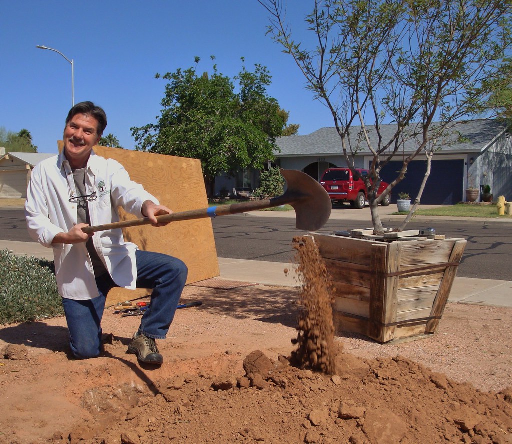 Steve Priebe, City Horticulturist