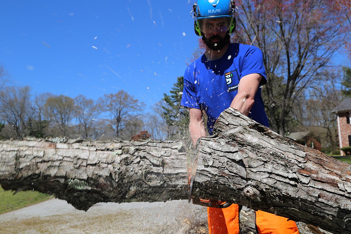 Brian Miller — log clearing + crew coord