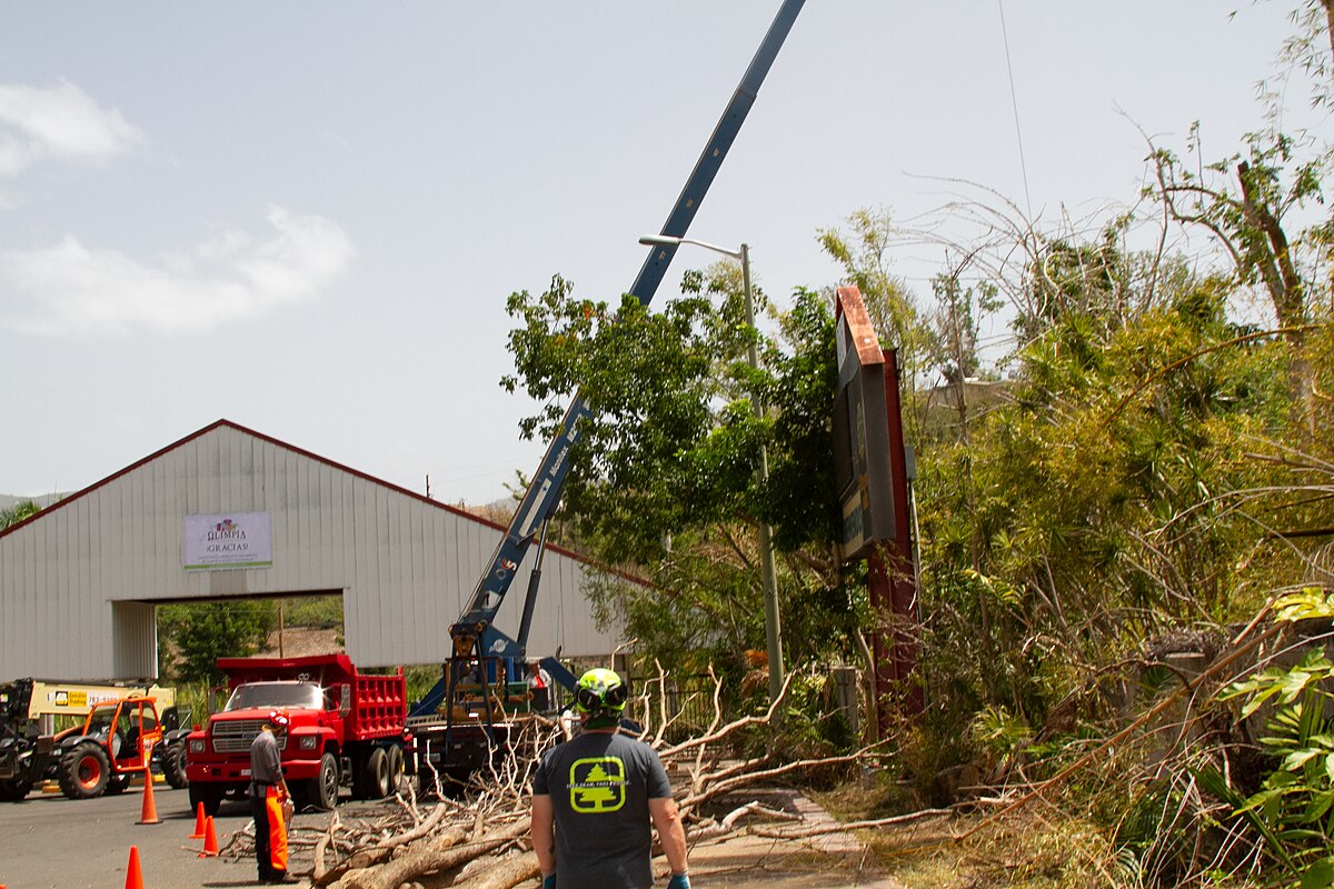 Crane-assisted removal — full crew