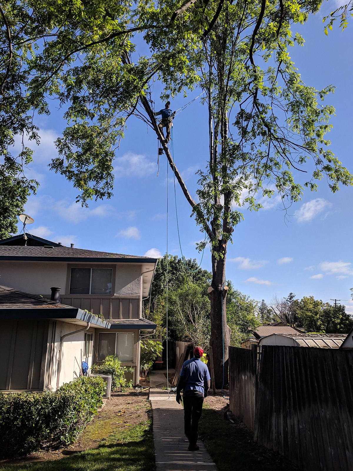 Residential trim — aerial position