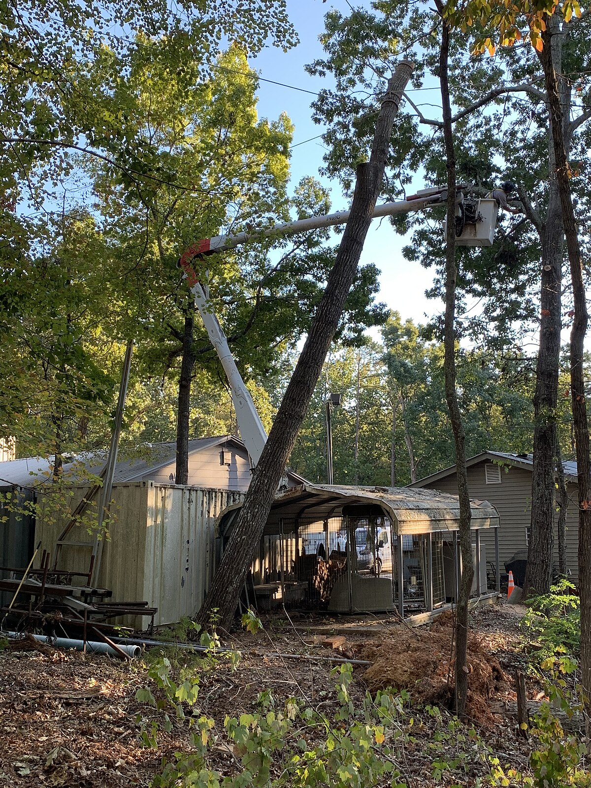 FEMA — hazard tree removal crew