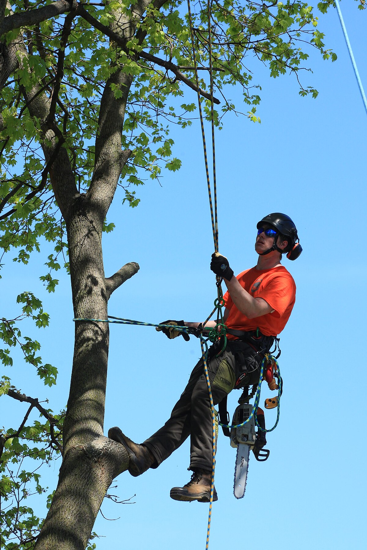 Climber ascending, rope visible