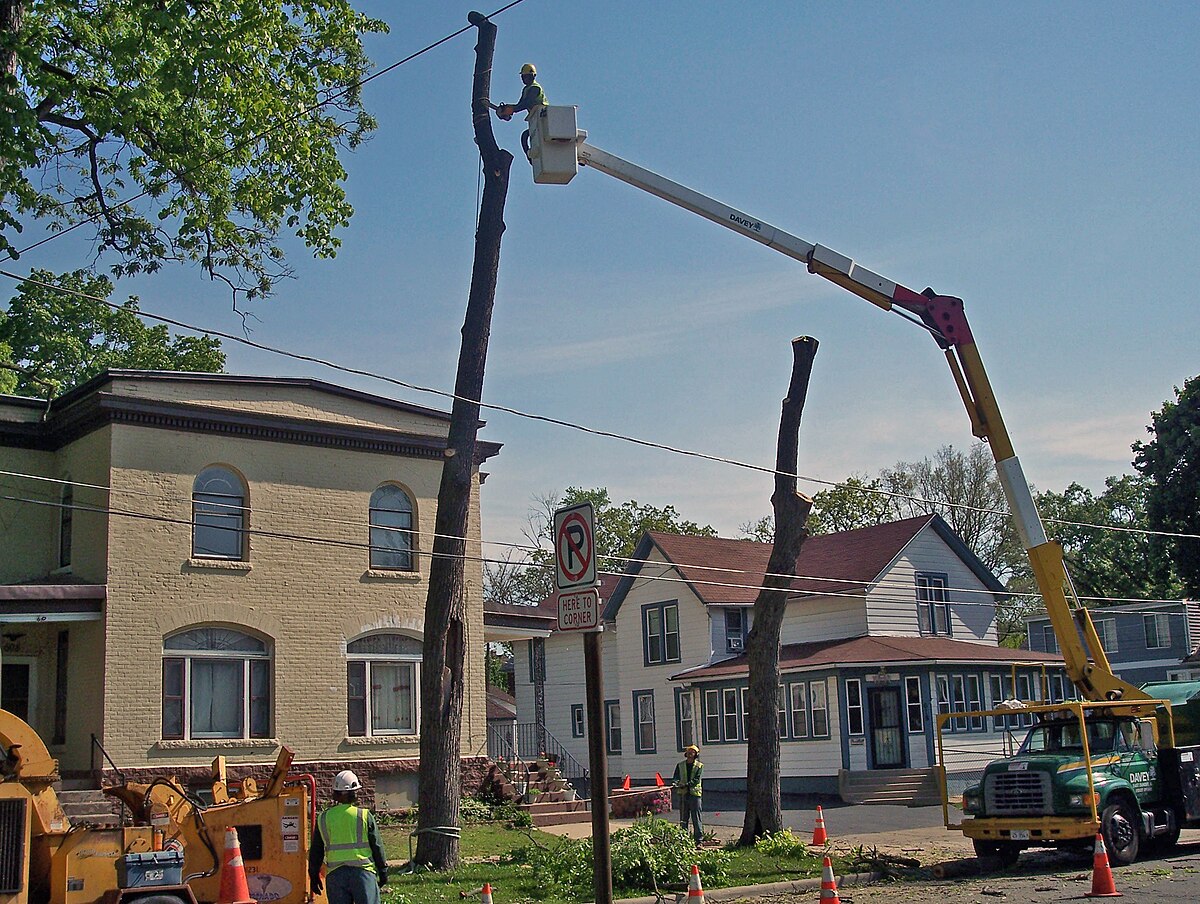 USDA risk tree reduction — official