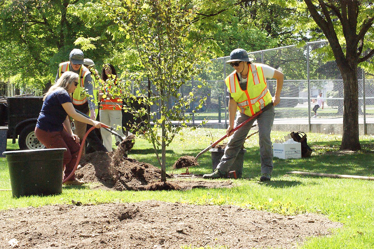 Spokane urban planting crew #1