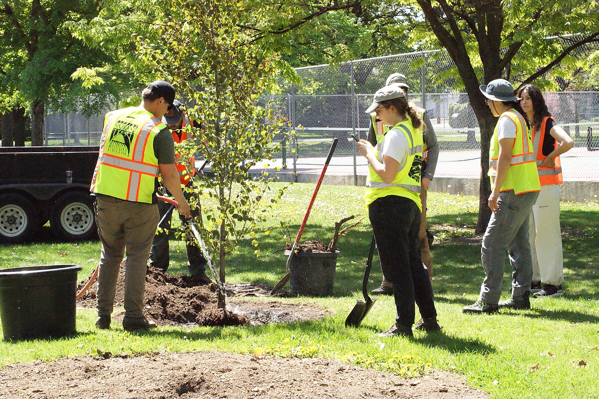 Spokane urban planting crew #2