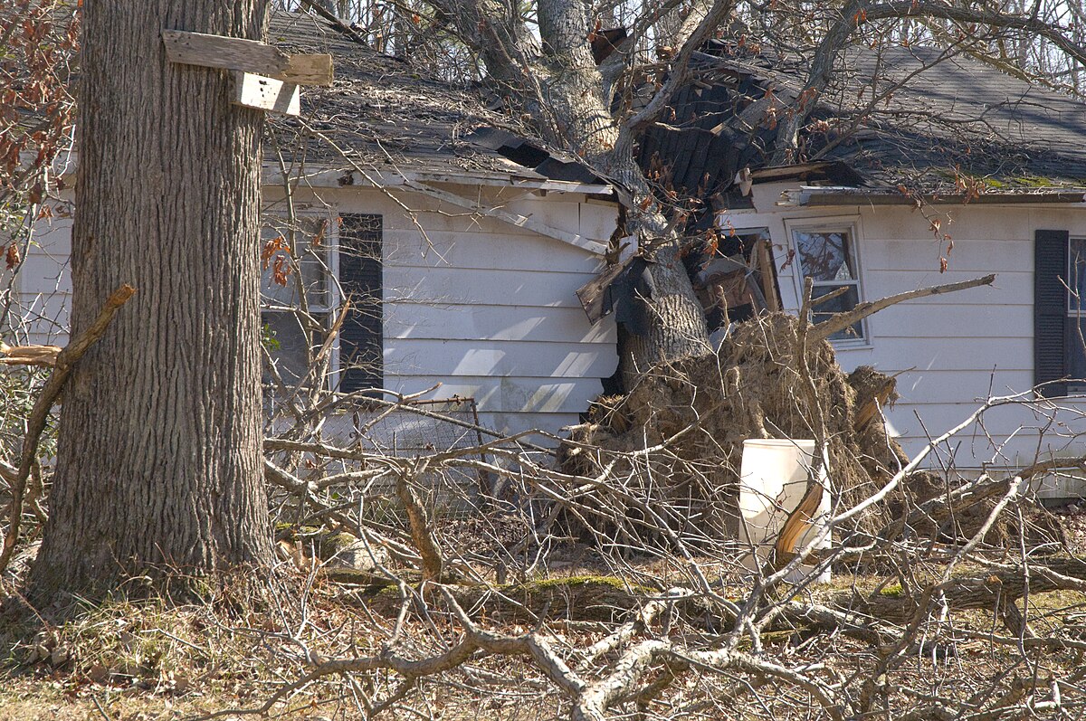 FEMA — house damaged by tree KY