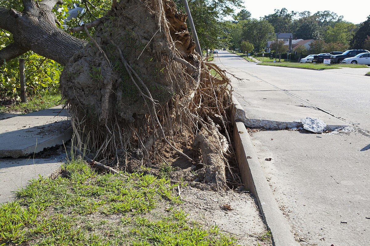 FEMA — hurricane storm damage NC