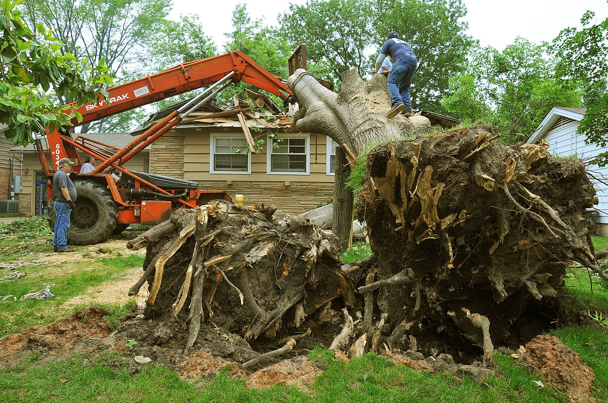 FEMA — tree removal Oklahoma