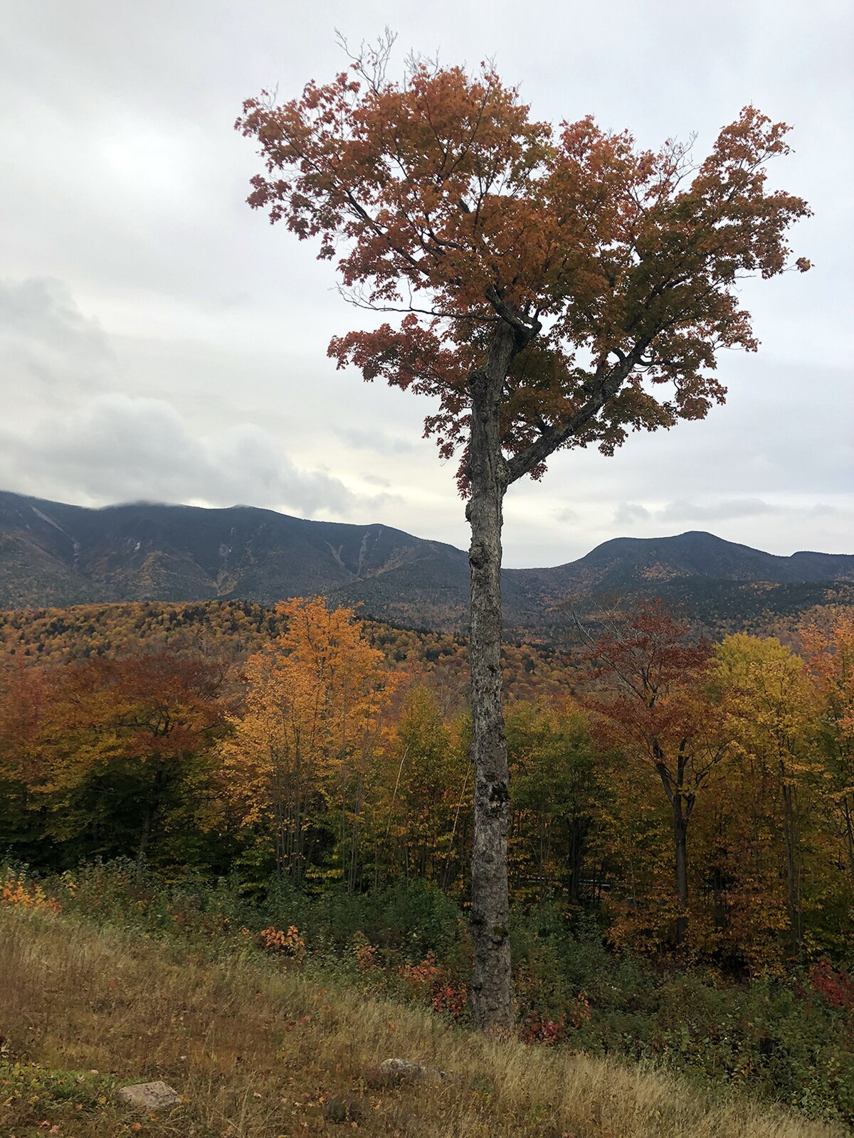 USDA FS — White Mountain NF Oct 10 2022