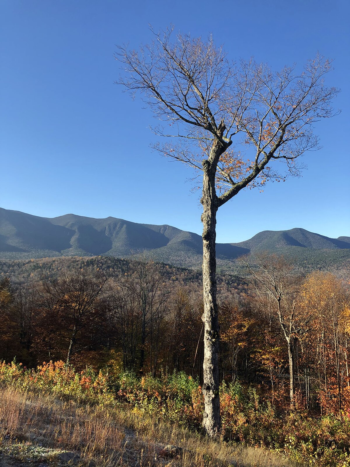 USDA FS — White Mountain NF Oct 19 2022