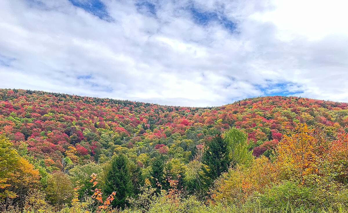 USDA FS — Manti-La Sal NF Oct 4 2022
