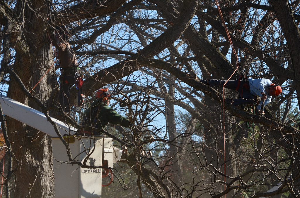 Field operations — crew at site